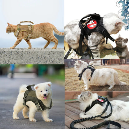 Compact Commander Harness, Sample Pictues