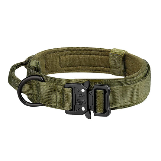 Dingo Duty Dog Collar