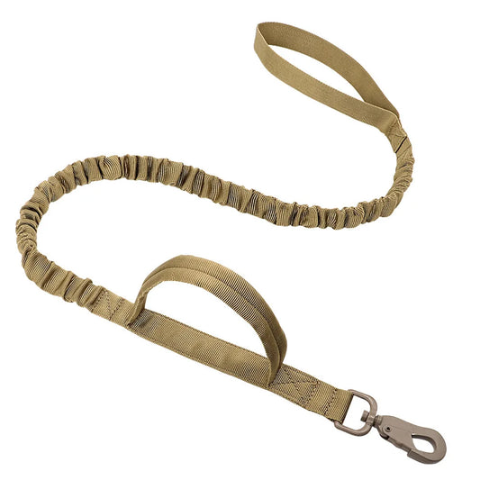 GentleStride Leash, Brown