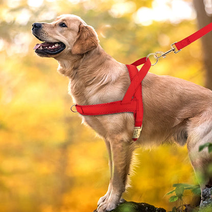 RegalStride™ Canine Harness