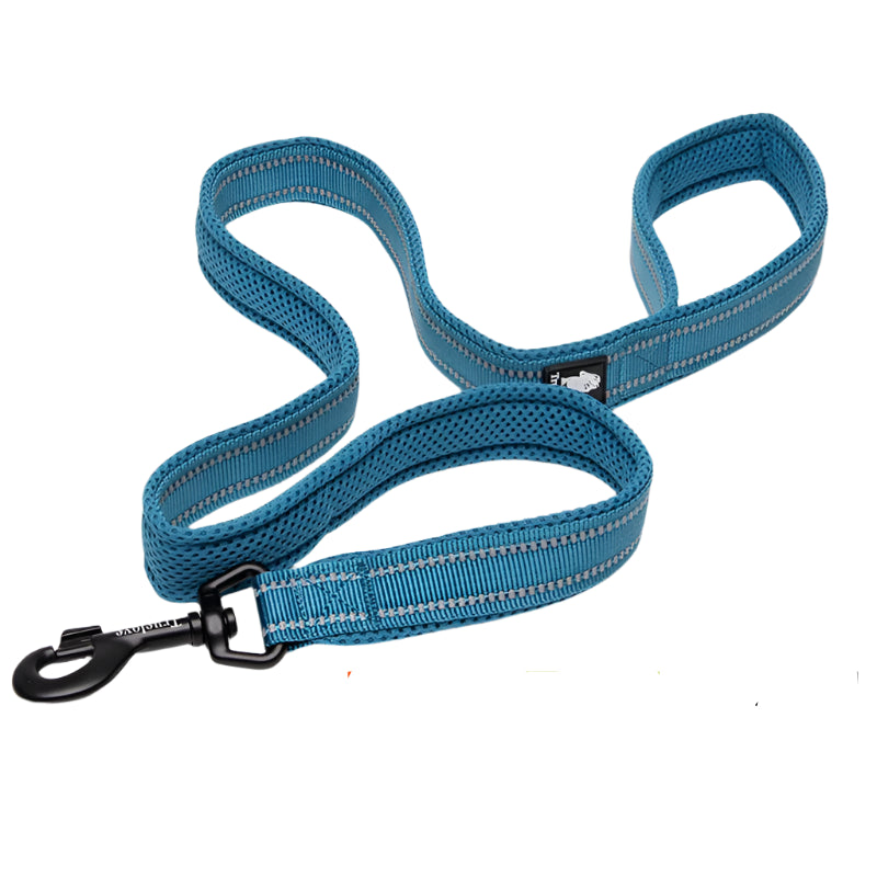 Truelove Soft Dog Pet Leash