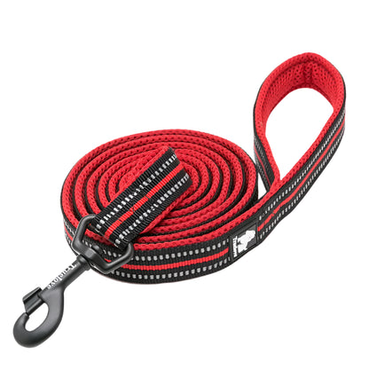 Truelove Soft Dog Pet Leash