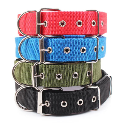 Wombat Wanderer Dog Collar