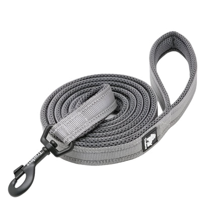 Truelove Soft Dog Pet Leash