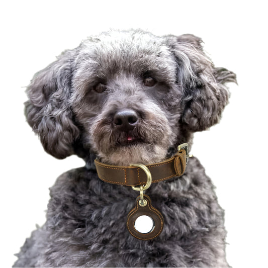 Harbour Hide Tracker Collar, Sample