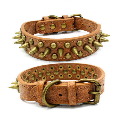 Harbour Spike Collar, Brown