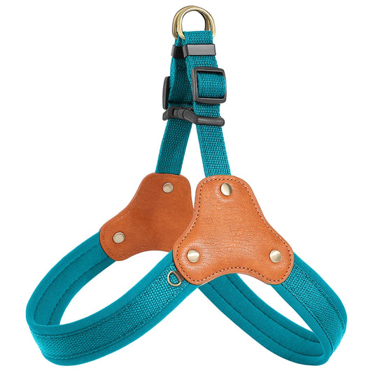 Harbour Trail Harness