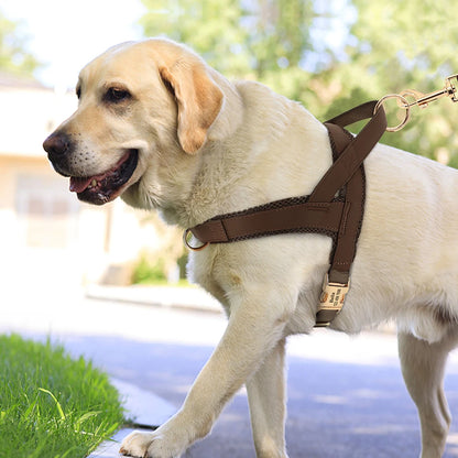 RegalStride™ Canine Harness