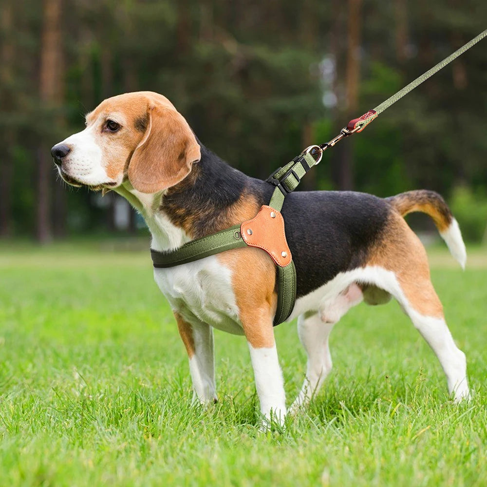 Harbour Trail Harness