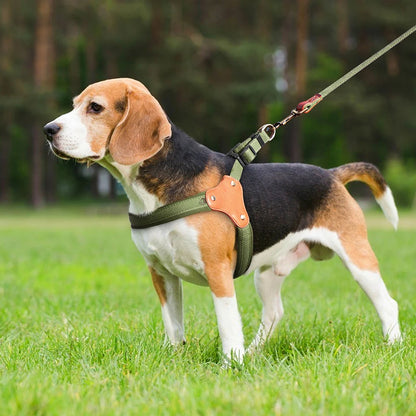 Harbour Trail Harness