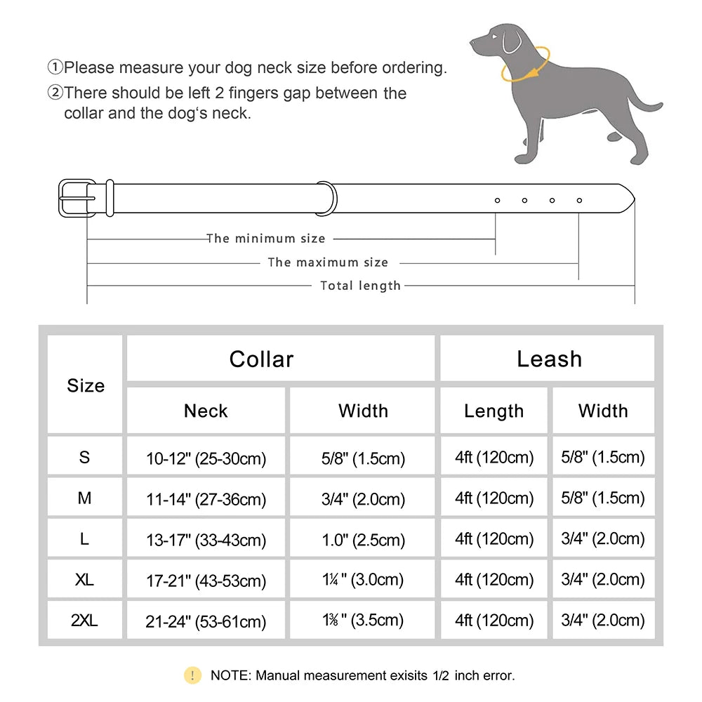 Barkaroo Custom Dog Collar