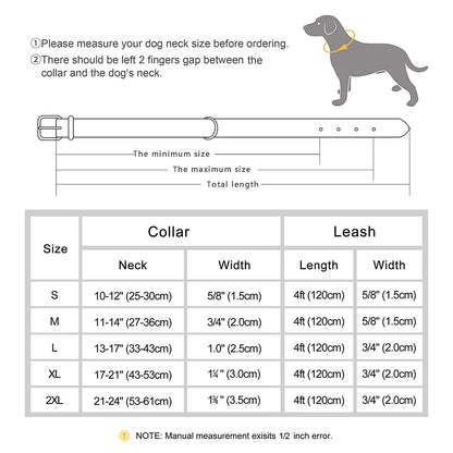 Barkaroo Custom Dog Collar