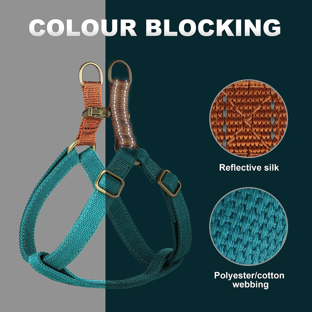 Snout & About Custom Harness