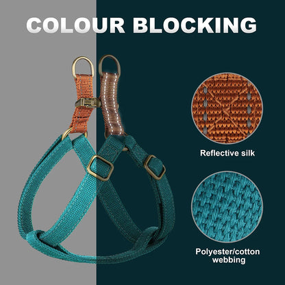 Snout & About Custom Harness