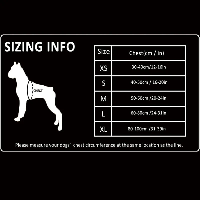 Size Chart Enlarged