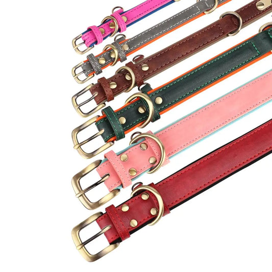 The EarthPet Leather Lead