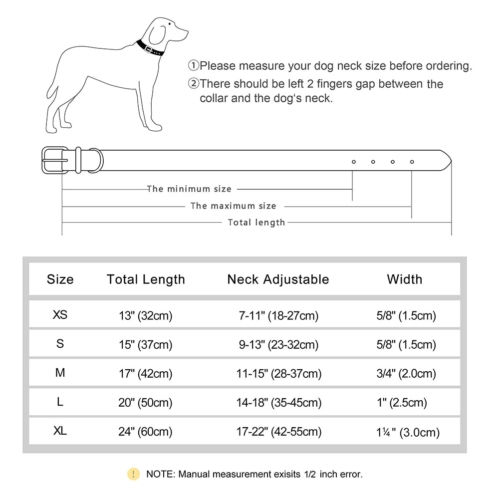 Fetch & Find Leather Collar