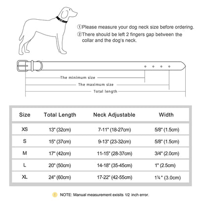 Fetch & Find Leather Collar