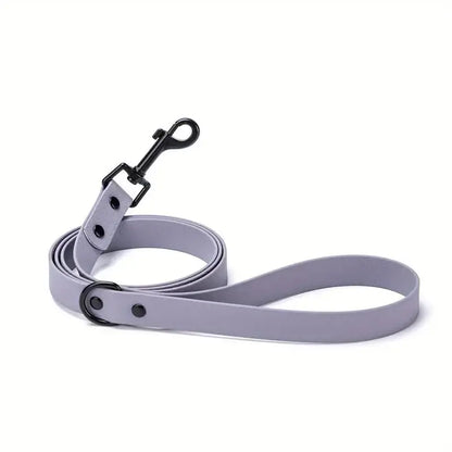 The Tidewalk Leash